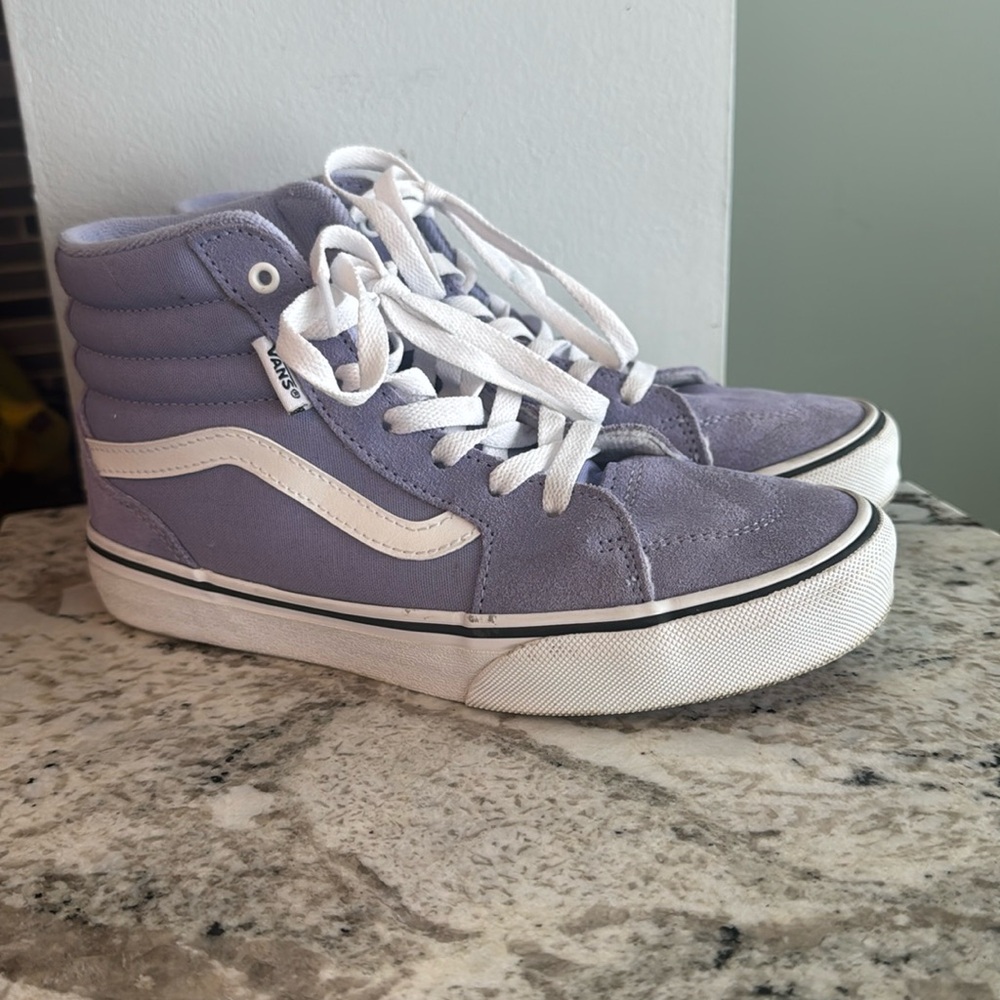 Vans Filmore Hi Top Shoe